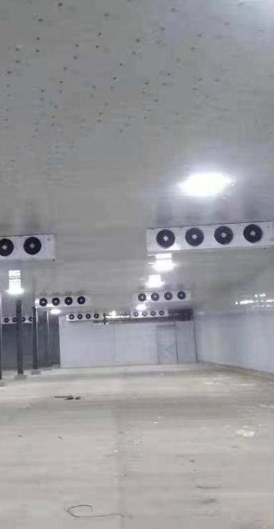 技術(shù)團(tuán)隊(duì)